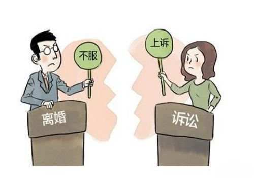 青岛市侦探公司：双方离婚小孩子怎么判的